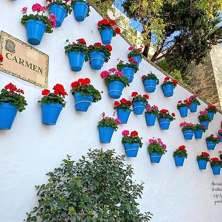 Willa Idyllic Townhouse In Marbella Old Town Zewnętrze zdjęcie